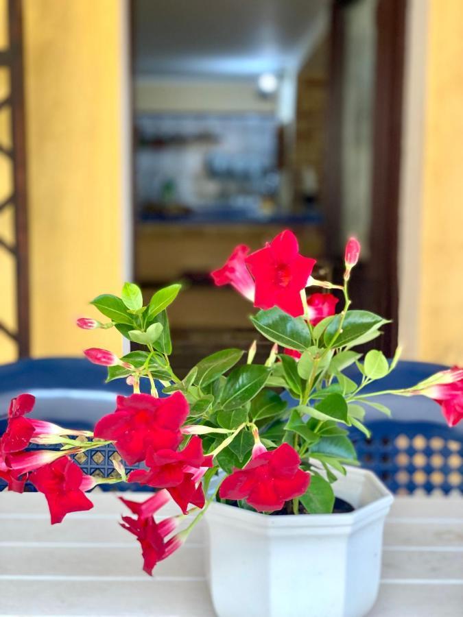 La casa dei bouganville - Lo stagnone Isole Egadi Marsala Esterno foto